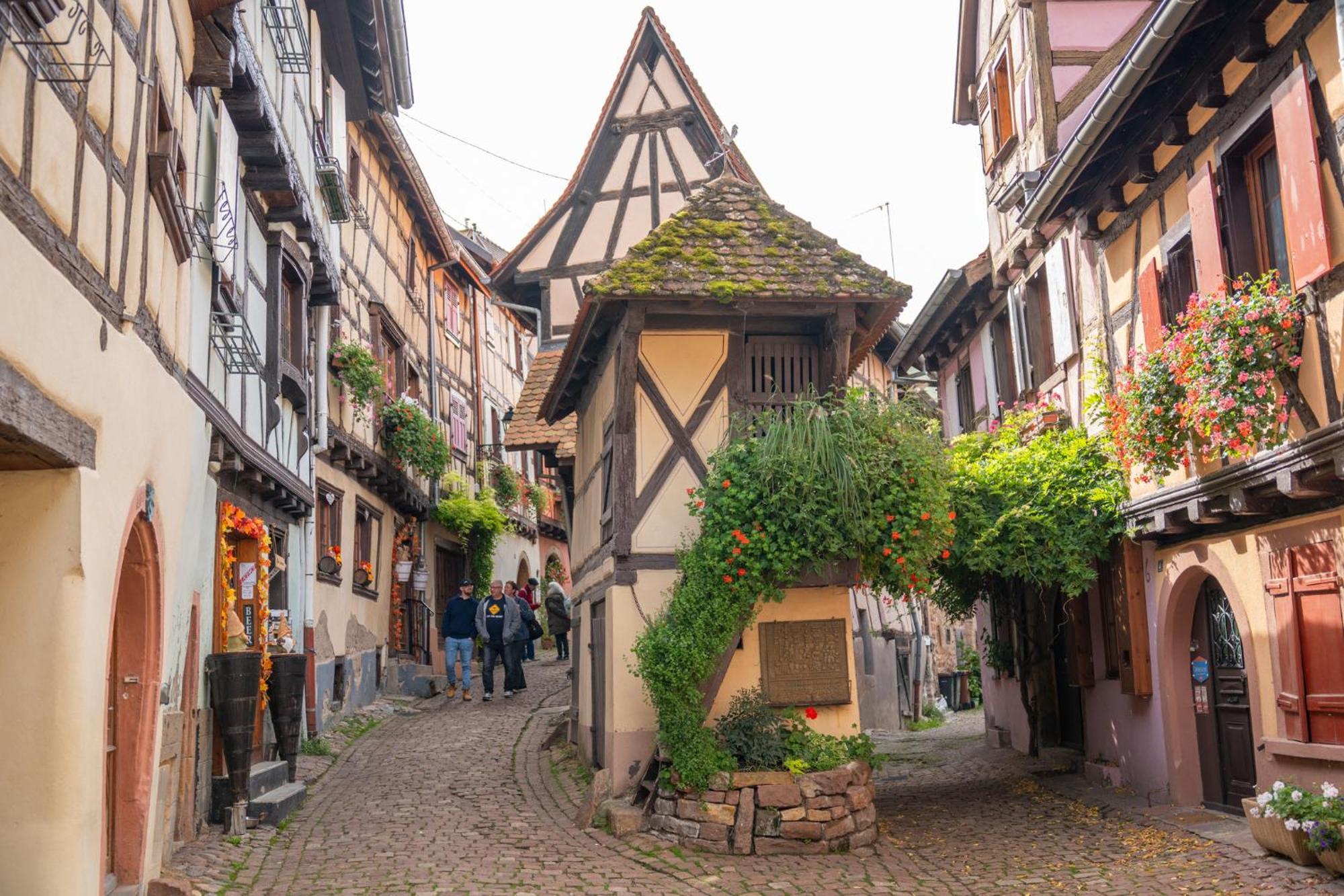 Chambre Rose Des Vents Eguisheim Zewnętrze zdjęcie